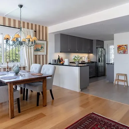 In Nueva Andalucia With An Amazing View 公寓 马尔韦利亚